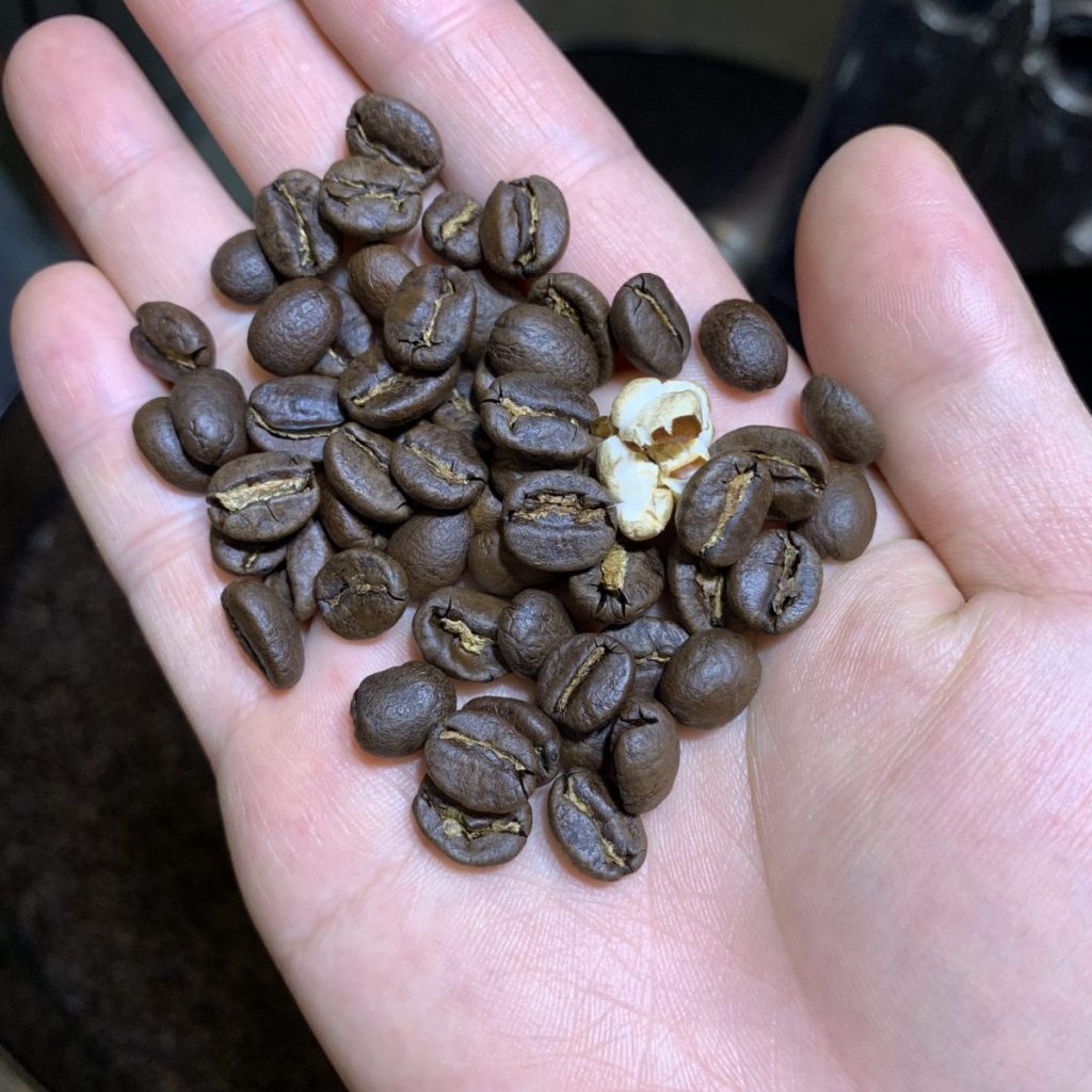 咖啡烘焙的雜物-玉米--1咖啡槍手