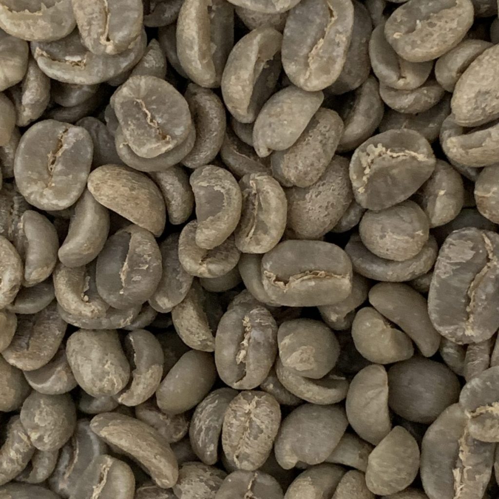 乾淨的咖啡豆-1-生豆